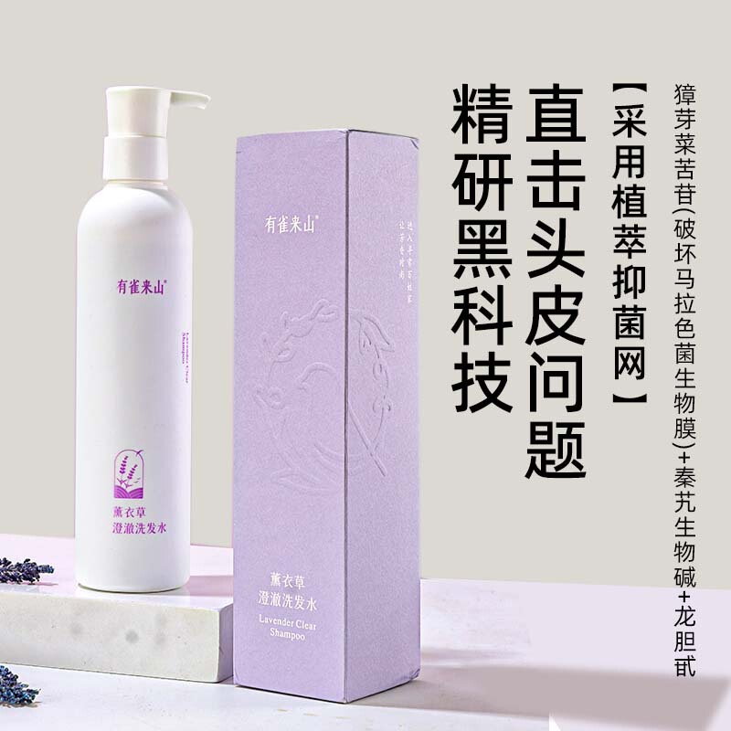 Lavender Amino Acid Clarifying Shampoo, Anti-Dandruff, Hair Care, Prevents Hair Breakage, Has Its Own Lavender Farm