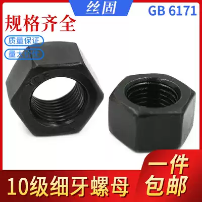 Grade 10 Fine Teeth Hexagon Nut M10M12M14M16M18M20M22M24 * 1 25x1 5x2