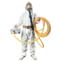 Gas mask long tube air respirator full face mask spray painting special electric air supply type full face welding industrial dust protection