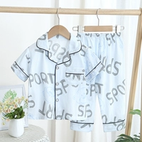 FD100-синий медведь английский