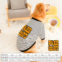 Полосатая пружина