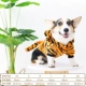 Corgi Tiger (размер посмотрите на картинку)