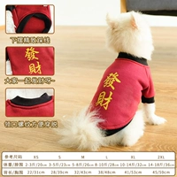 Фортуна осень и зимние модели