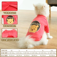 Арбузный медведь Нини в осенне-зимнем стиле