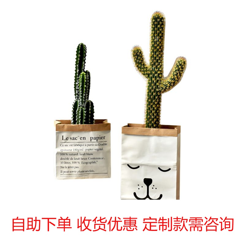 Creative minimalist Nordic style INS English bedroom strong and durable storage double-layer kraft paper bag shooting props