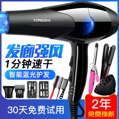 Yongshi hair dryer Household hair salon hair salon size and power negative ion hair care hair dryer Dormitory students