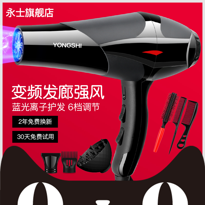 Yongshi hair dryer Hot and cold air household hair salon does not hurt hair Mute female high-power hair salon special hair dryer tube