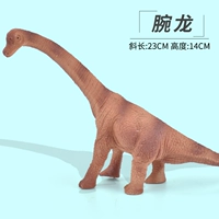 Бутик -запястье Дракон