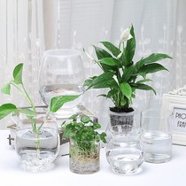 Rich and expensive bamboo vase glass transparent home rearing transfer bamboo cylindrical straight cylinder large caliber round water bamboo extra-large 