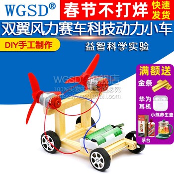 Small Invention: Double-Wing Wind-Powered Racing Car, Technology-Powered Vehicle, DIY Small Project, Handmade Materials, Educational Science Experiment