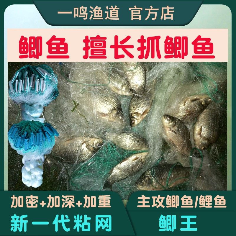 Crucian Carp Nets Carp Sticky Mesh Silk Nets Triple Sink Mesh Hanging Subnetting Fishing Nets Ronon Knife Fish Encryption Accented Filament