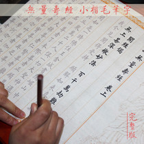 Life Sutra Xia Lian Ju Buddha said Mahayana Wulian Life solemn and pure equal sense of the scriptures brush small letters hand-copied Buddhist scriptures beginner set