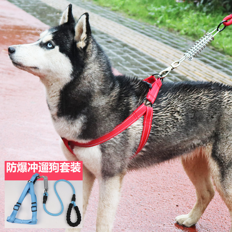 Dog elastic buffer anti-explosion alluding rope Medium dog Large canine wool Samo border Shepherd dog Rope Dog Necklace