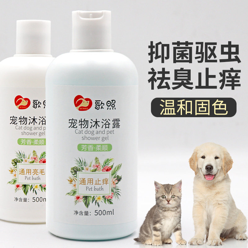 Pet Dog Dog Body Wash of Bath Dew with Anti-Itch Teddy Bibi Bear Gold Wool Cat Kills Mitician for a Fragrant Bath of Fragrant Bath