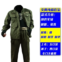 Sip Eagle Landscape Set