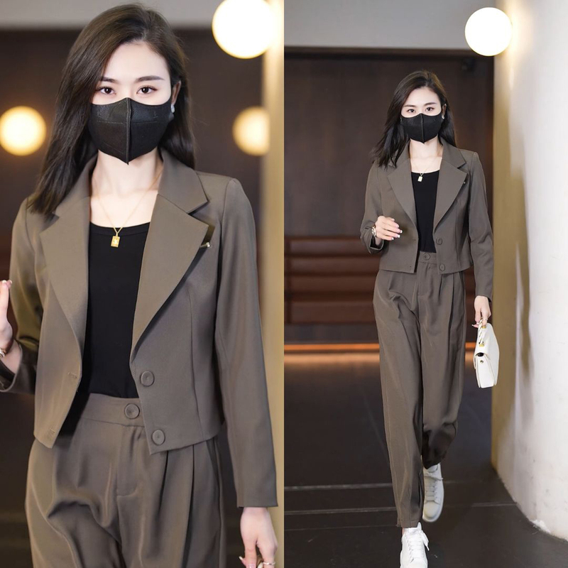 Professional Blazer Suit for Women, New Spring and Autumn Style, Fashionable, Slimming, High-End Suit with Harem Pants Two-Piece Set