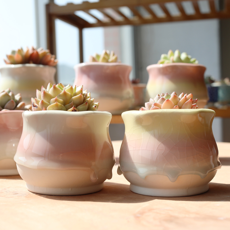 New Style Ice Crack Glaze Rainbow Gradient Succulent Flower Pot Special Clearance Personalized Creative Simple Breathable Cluster Small Flower Pot New Style Ice Crack Glaze Rainbow Gradient Succulent Flower Pot Special Clearance Personalized Creative Simple Breathable Cluster Small Flower Pot