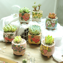Minimalist multimeat plant flower pot coarse pottery breathable Yanxi basin Han style Creative Home Meat Meat Indoor small flower pots