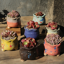 Jingdezhen medical stone multimeat flower pot simple coarse pottery and breathable and manual retro-ancient burst control type meat flower pot