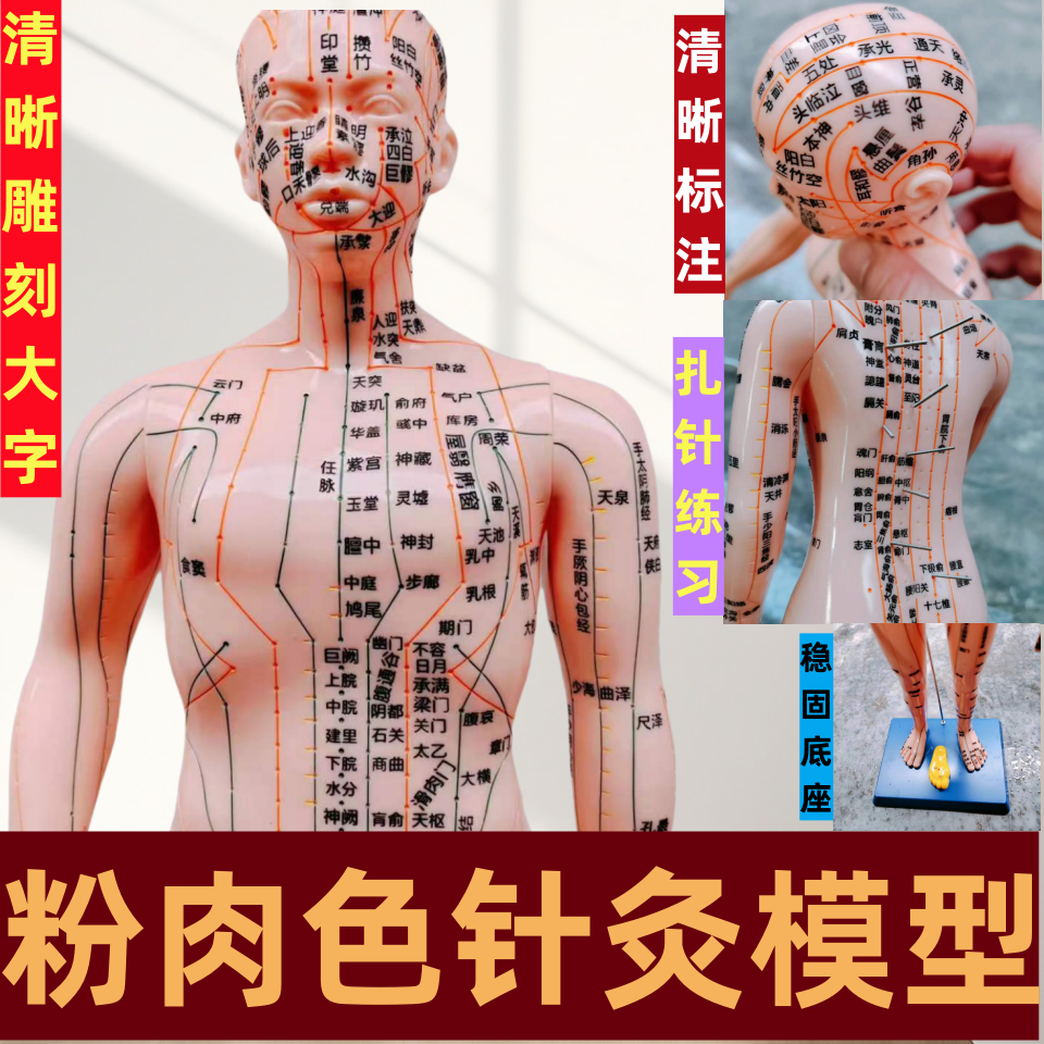 人体模型中医针灸穴位图经络小铜人男女全身十二经络皮人针灸模型
