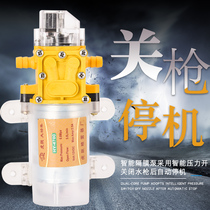 Smart Pressure Switch Off Gun Down 12v Volt Agricultural Electric Sprayer Water Pump Diaphragm Self Priming Beating Machine Pump