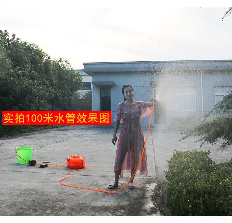 12v volt strong high-power intelligent double pump portable high pressure sprayer fruit tree nursery portable spray machine