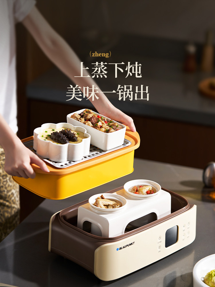 Double Heating Plate | Sapphire Imperial Electric Steamer Multifunctional Household Stainless Steel Steam Pot Breakfast Maker New Steamer