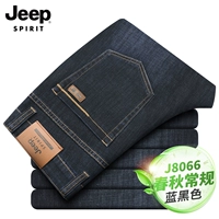 J8066 Синяя черная модель