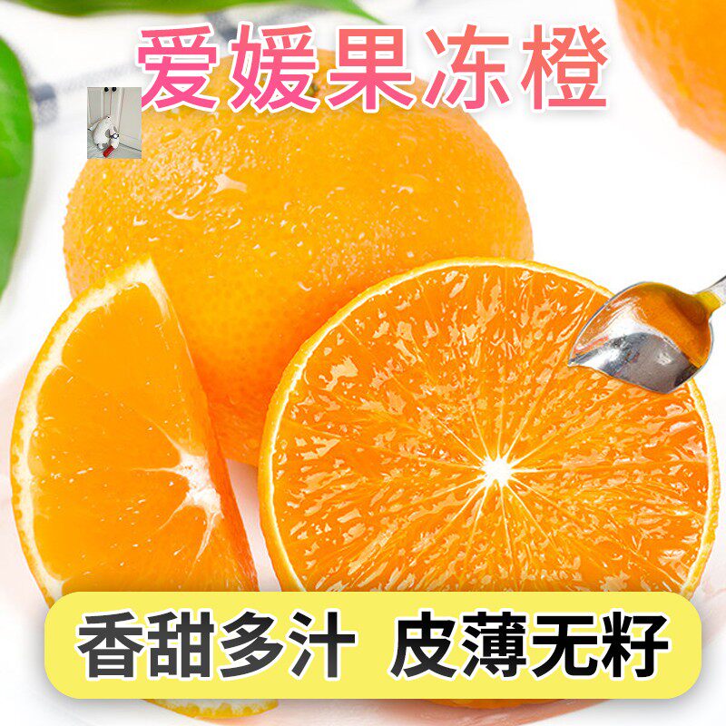 Komainong Fruit Store 02 Jelly Orange 5 Jin 29 9 yuan Sichuan Special Product Aiyuan Orange Seasonal Fruit Citrus Honey