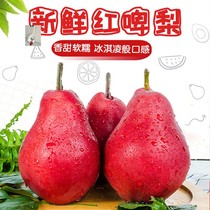 Baichuan Shisandian eats more pears in autumn and winter. Fresh fruits are now picked and found. Soft waxy pears red pears pure pears 5kg delicious