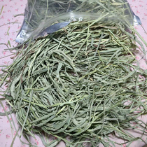 Imported USA Timosigrass doubled down the rabbit dragon cat guinea pig with high fiber grinding tooth pasta hay 500 gr