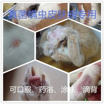 Ivermectin Solution Pet Insect Repellent Spray body inside and outside Insect repellent Worm Drug Nematodes Mimite Gestational Livestock Rabbit available