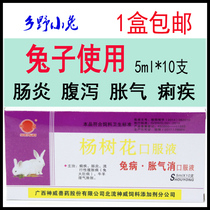 Poplar Flower Oral Fluid Rabbit disease Flatulence Pet Rabbit beast with dysentery diarrhea Diarrhoea Big Belly Disease