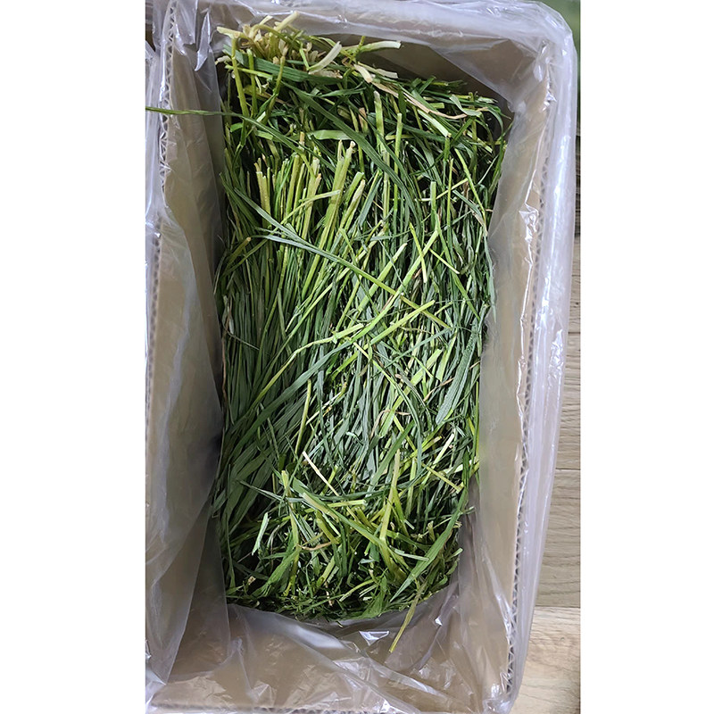 Newly dried wheatgrass earless tender seedling hay rabbit guinea pig guinea pig chinchilla forage feed gross weight 1000g