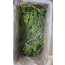 2022 New Drying Wheat Grass Hay Hay Pet Rabbit Dutch Pig Guinea Pig Dragon Cat Grass Feed Gross 1000 grams