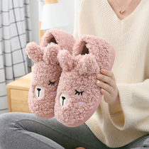 2021 Winter new bag with cotton slippers female cute cartoon plush thick soled indoor home couple warm cotton shoes