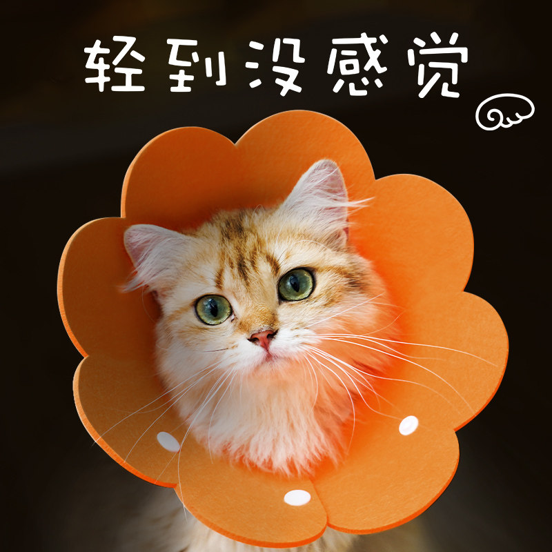 Cat Elizabeth ring Cat soft dog collar Neck ring Elizabeth Elizabeth anti-licking headgear Sterilization supplies