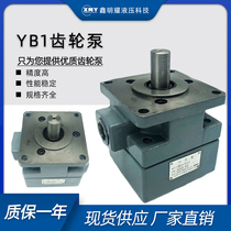 Xianghua Hydraulic Blade Pump YB1-10 Hydraulic Gear Oil Pump YB1-16 20 32 80 100 positive