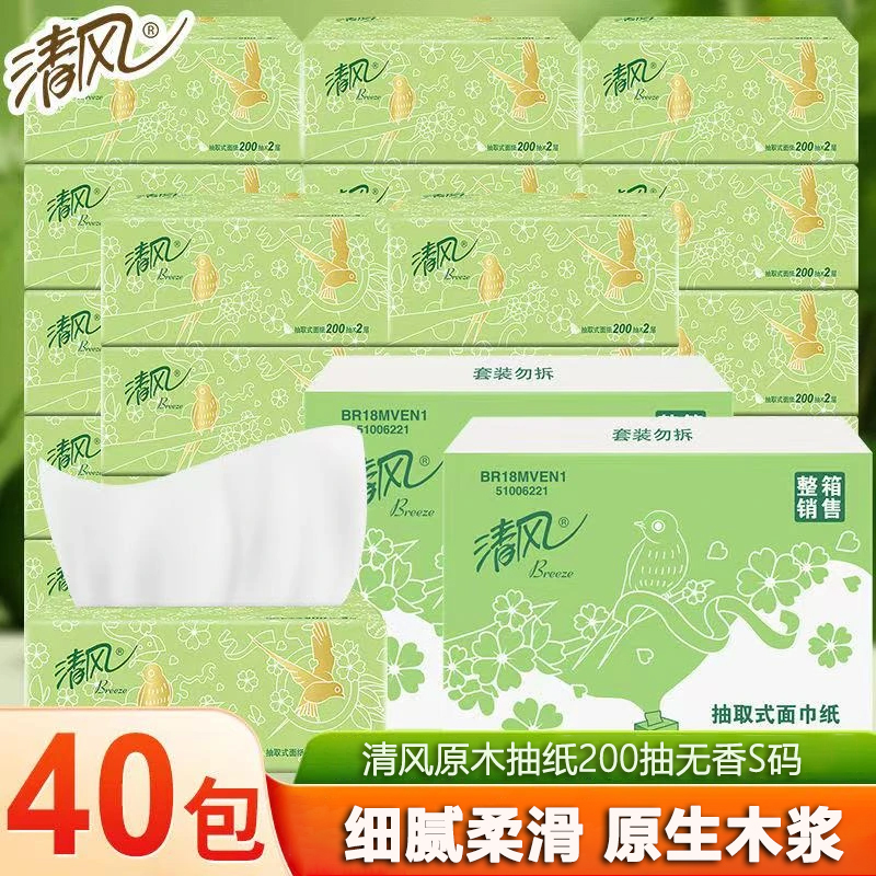 Light Green Floral Tissue Paper, 40 Packs, 2-Ply, 200 Sheets Per Pack, Whole Box, Household Economical Pack, Facial Tissue, Napkins, Paper Towels