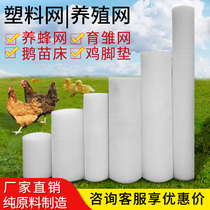 Plastic flat net Breeding net Brood leakage Duck raising chicken raising goose beekeeping grid Small hole balcony protective net Pad net