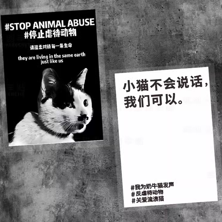 Stickers to Speak up for Cows and Cats, Please Treat Every Life with Kindness, Stop Animal Abuse, Car Body Promotional Stickers