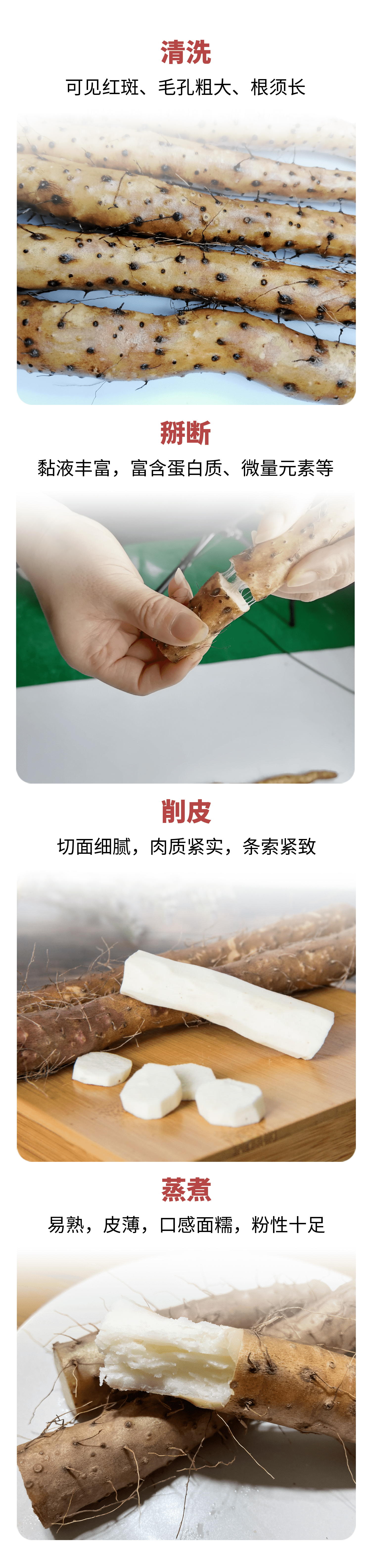 药食同源 怀府街 河南焦作温县铁棍山药 净重5斤 图13