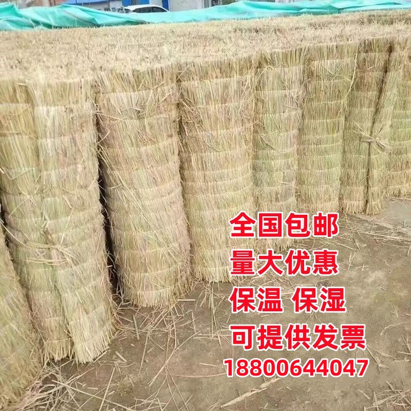 Straw curtain greenhouse insulation anti-cold and heat insulation roof decoration straw blinds concrete antifreeze road anti-slip straw cushion-Taobao
