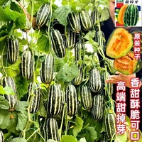 Сладкое зубье дыни. Оригинальные 4 упаковки