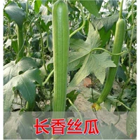 5 длинных саженцев для лафы