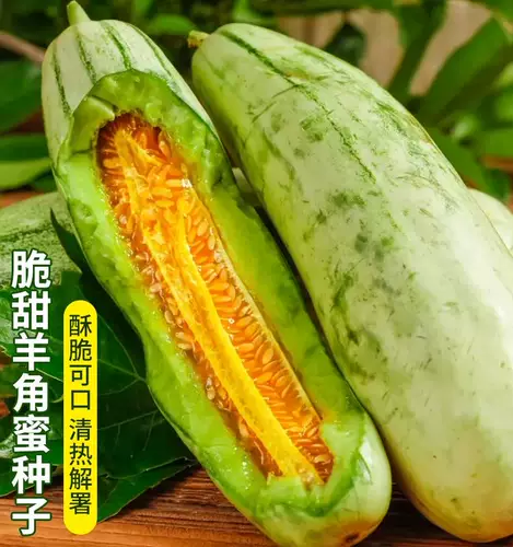 Угловые семена меда хрустящие хрустящие дыни арбуз плотные фрукты, преждевременный высокий урожай, четыре сезона саженцы семян растительных семян с балконами