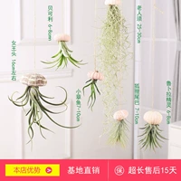 Пакет висящей веревки 1 раковина 1