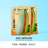 Crispynut Crispy Seeds 100 зерен [широкая адаптивность]