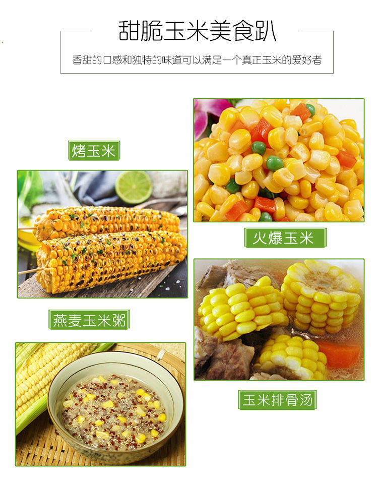 金吉圣 云南水果玉米 9斤 图11