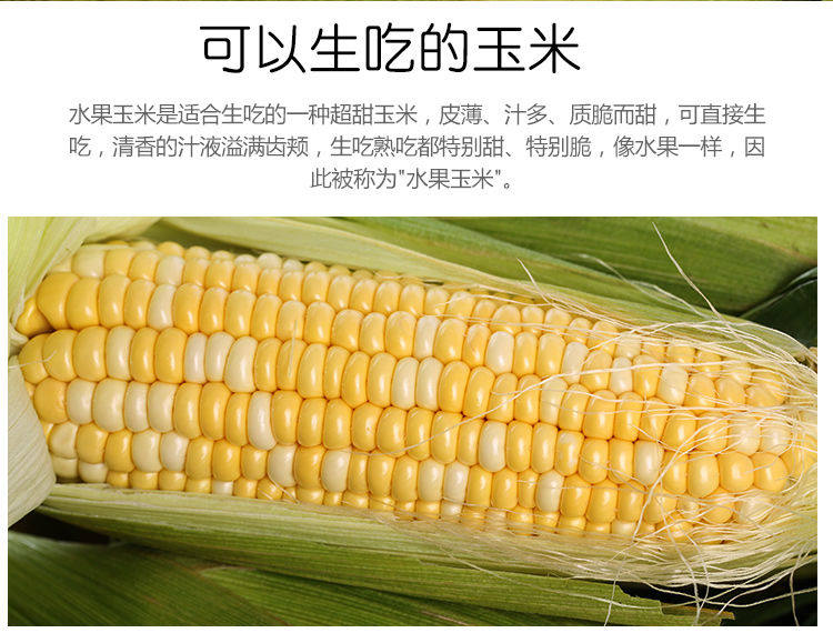 金吉圣 云南水果玉米 9斤 图5